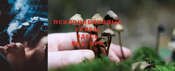 прущие крисы Хотьково