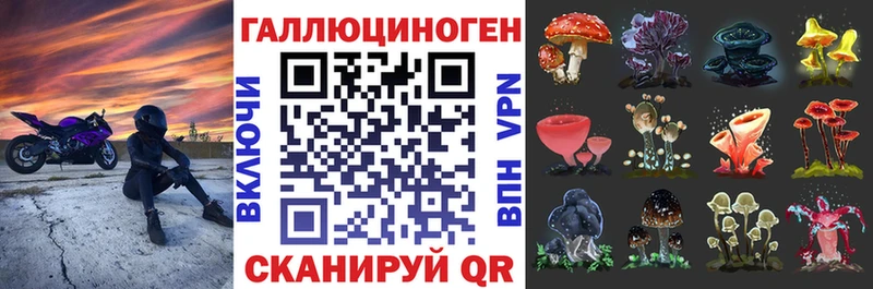Псилоцибиновые грибы Psilocybe  Волгоград 