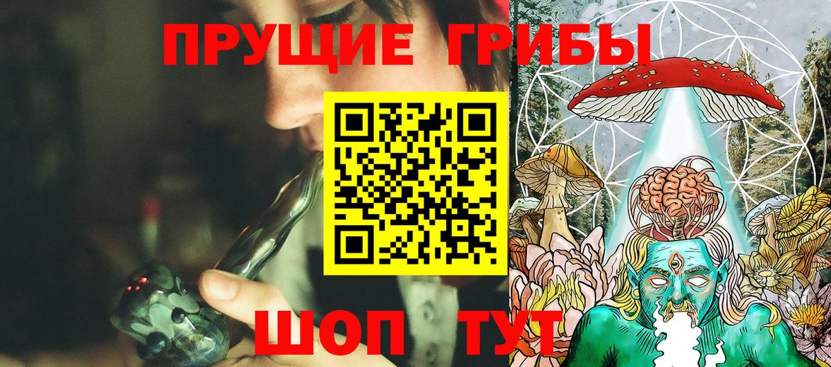 Псилоцибиновые грибы Psilocybine cubensis Волгоград