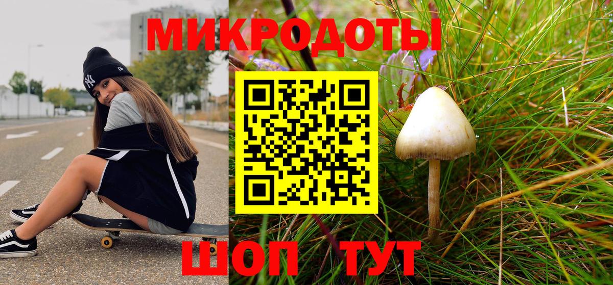 Галлюциногенные грибы Psilocybine cubensis  Волгоград 